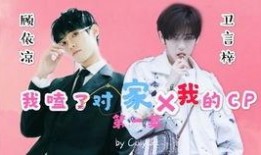 娱乐圈文 体育圈cp,体育圈CP的甜蜜邂逅